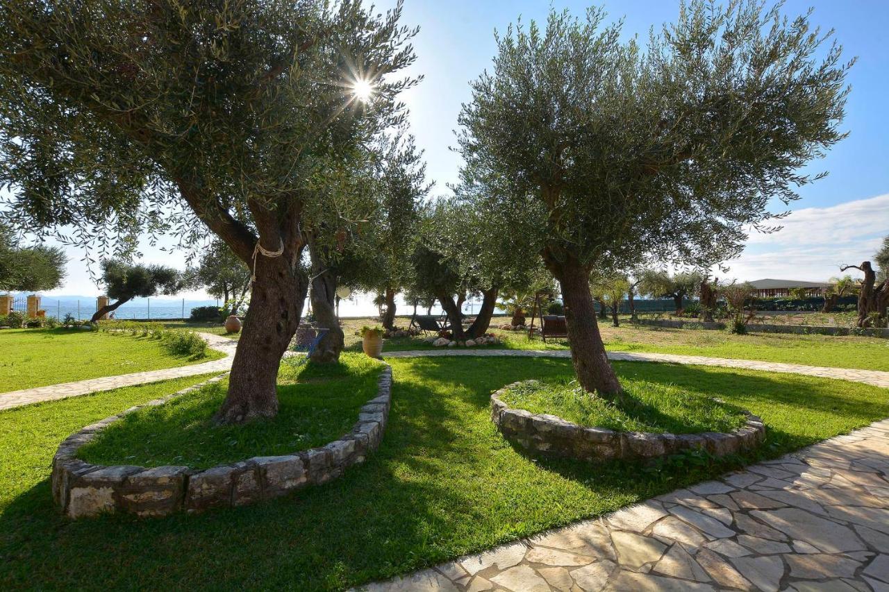 Renata Rooms & Studios Barbati Exterior photo